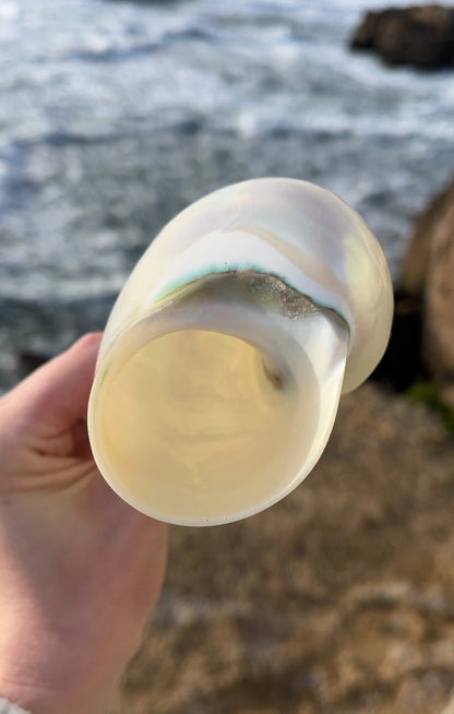 Mermaid Shell Champagne Glass